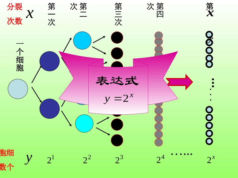 指数函数图像及性质_第3页