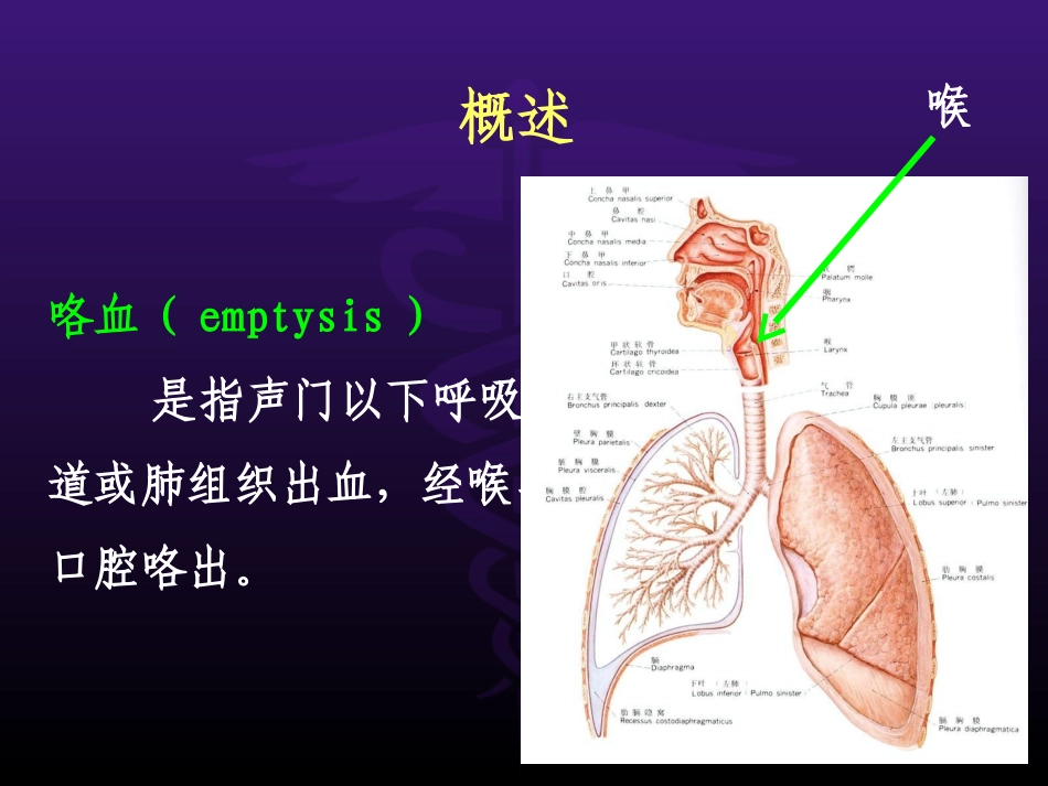 第三节_咯血_第3页