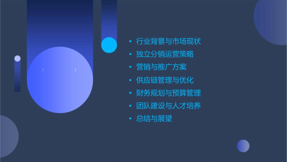 服饰行业独立分销的运营方案课件_第2页