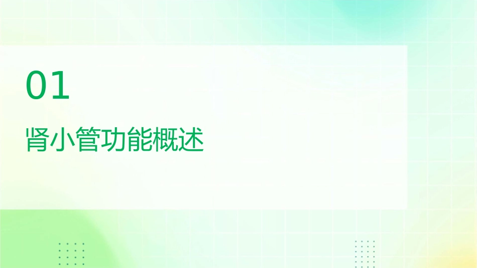 肾小管功能测定及临床意义课件_第3页