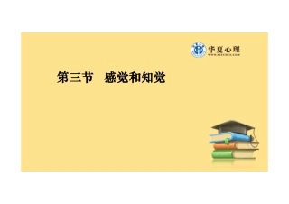 第三节 感觉和知觉