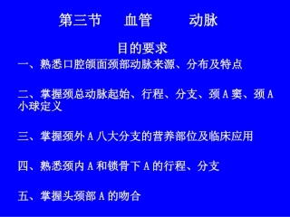 第三节   血管17.18     动脉