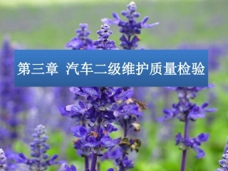 第三章汽车二级维护质量检验