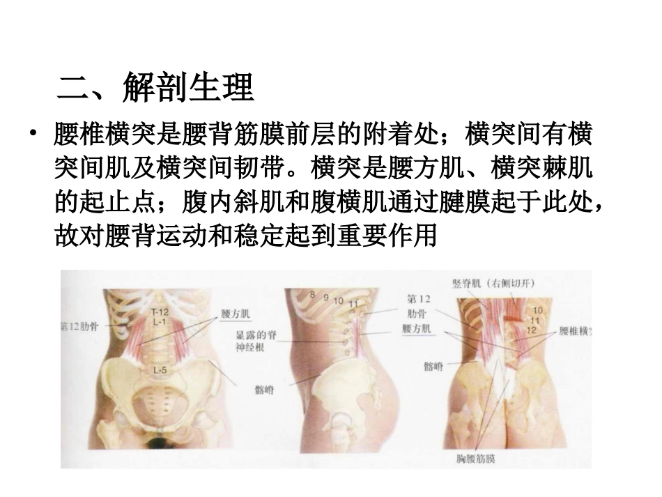 第三腰椎横突综合征_第2页