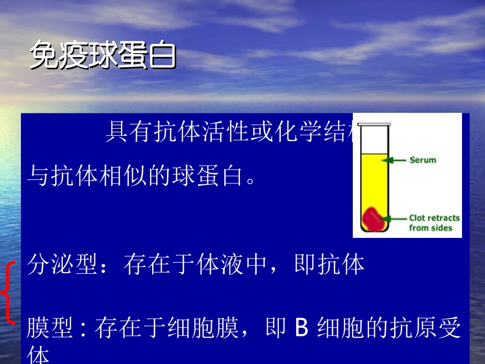 第三章免疫球蛋白1_第3页