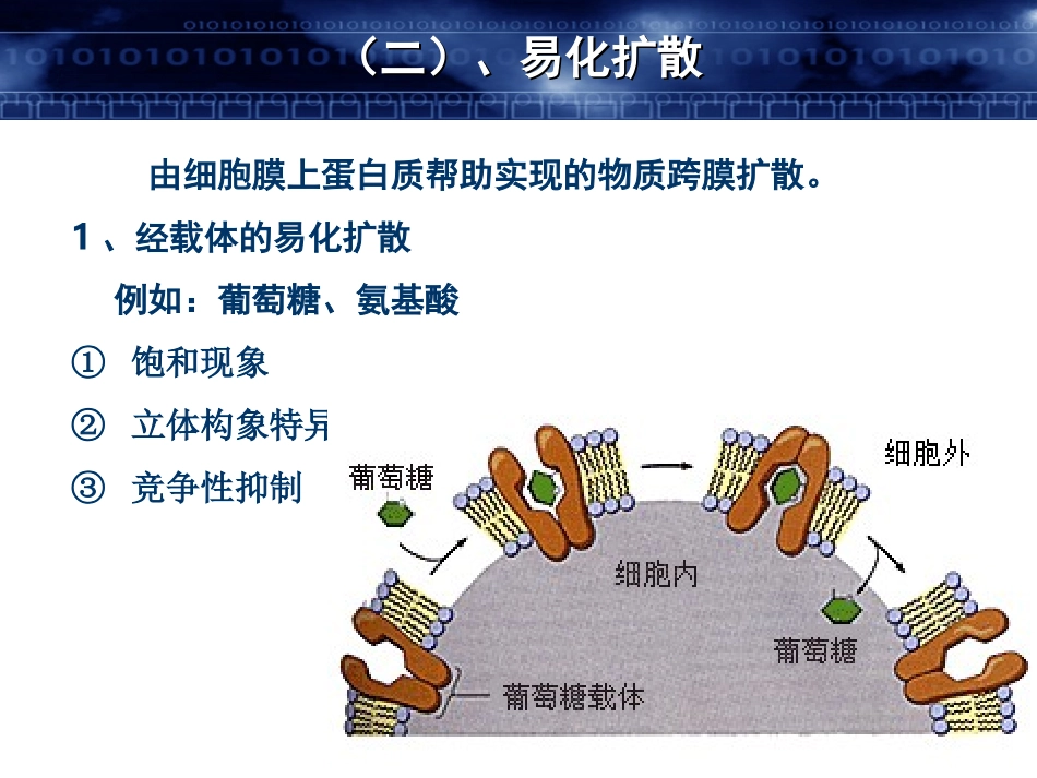 第三章 细胞的基本功能_第3页