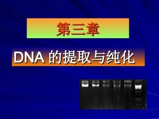 第三章 提取和分离
