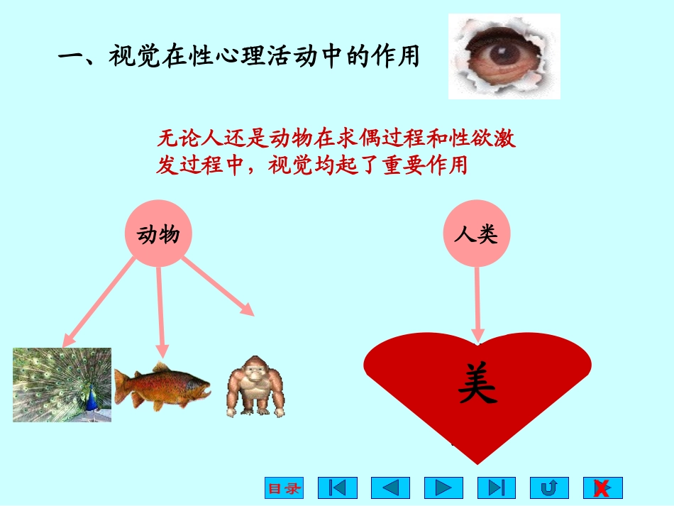 第三章  性心理活动_第3页