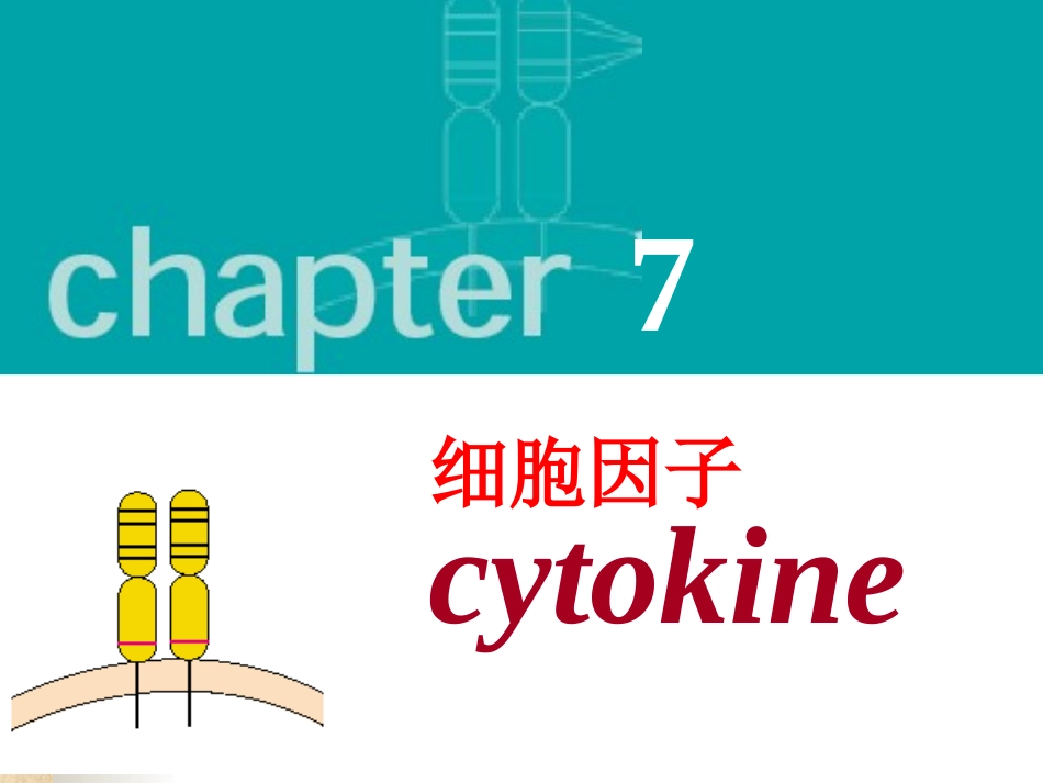 第七章细胞因子_第1页
