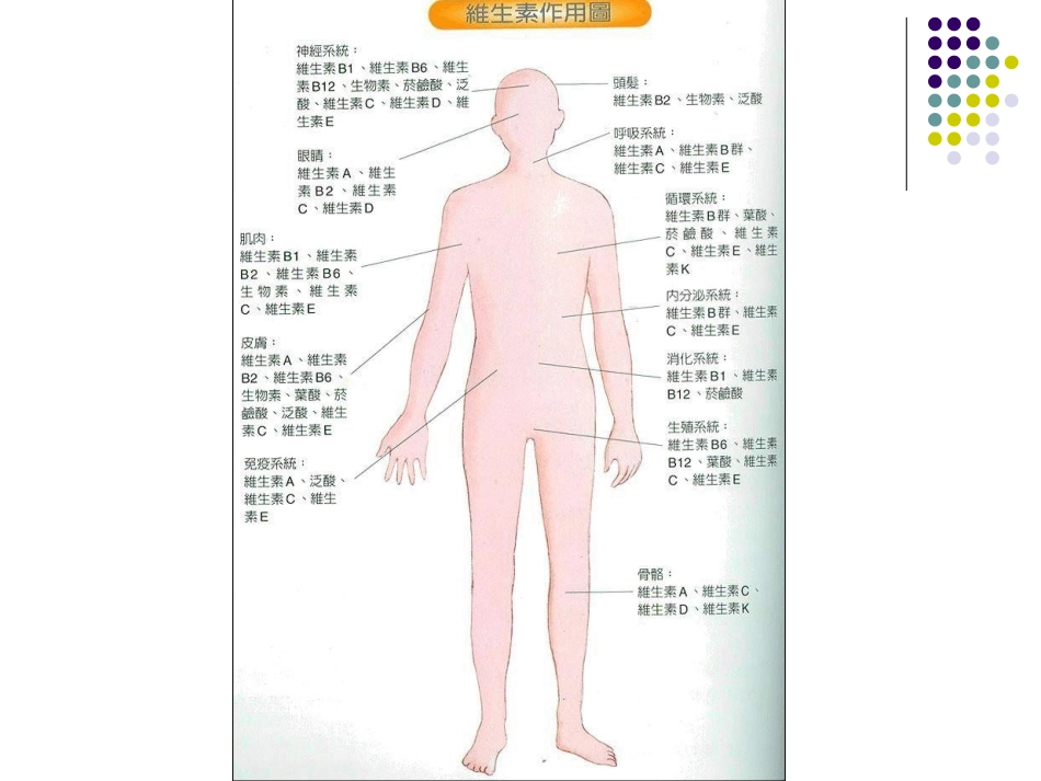 第七章NEW VITAMIN_第2页