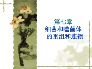 第七章 细菌和噬菌体