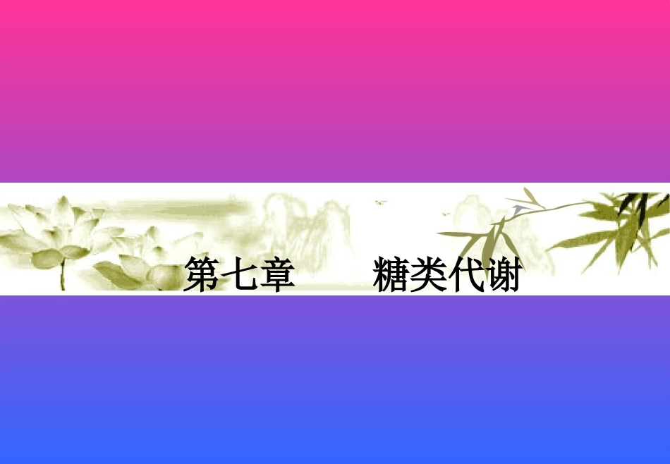 第七章 糖代谢_第1页