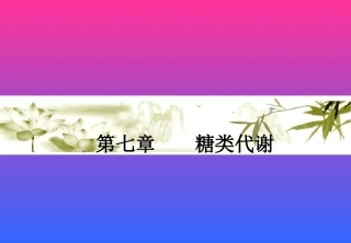 第七章 糖代谢
