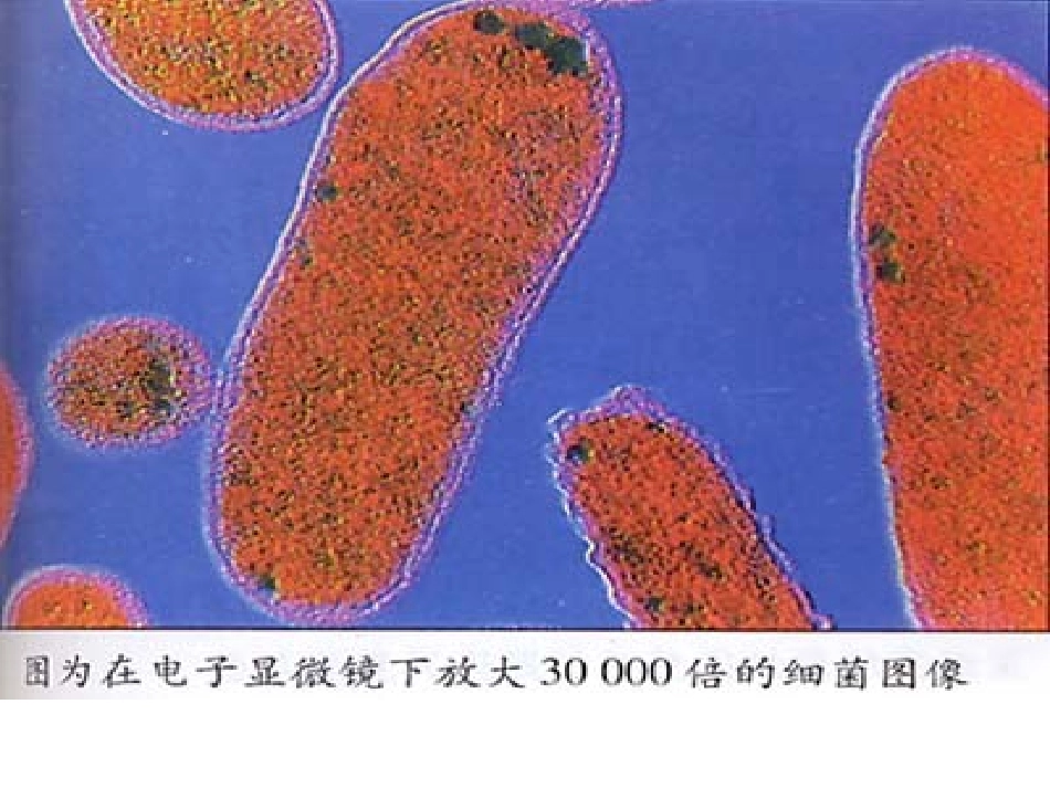 玩出了名堂课件_第3页