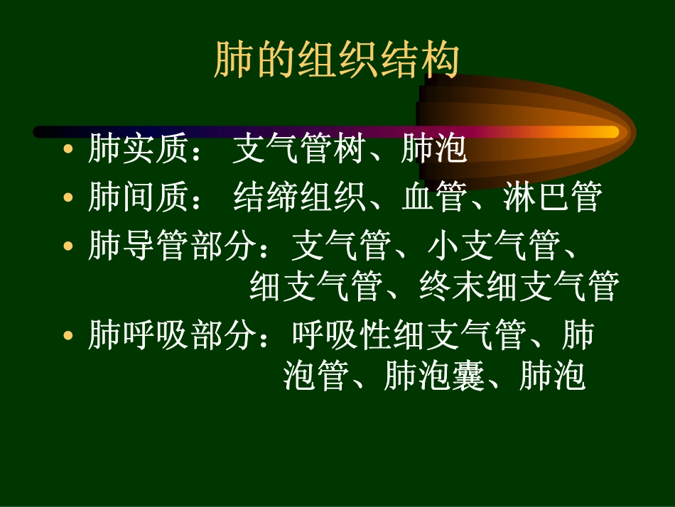 第七章 呼吸系统疾病_第2页