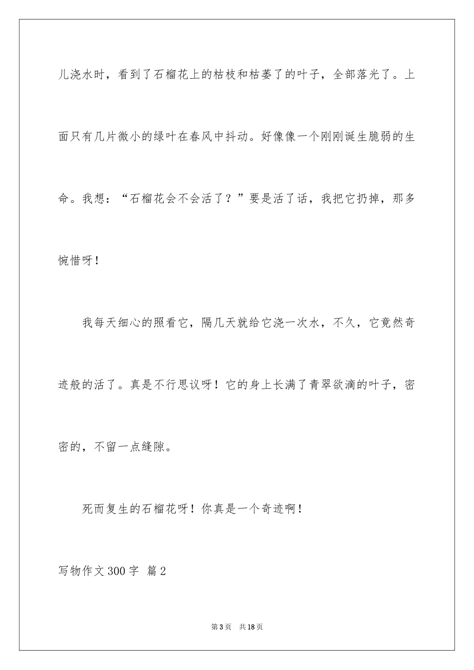2024写物作文300字_159_第3页