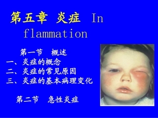 第七次课第五章炎症1