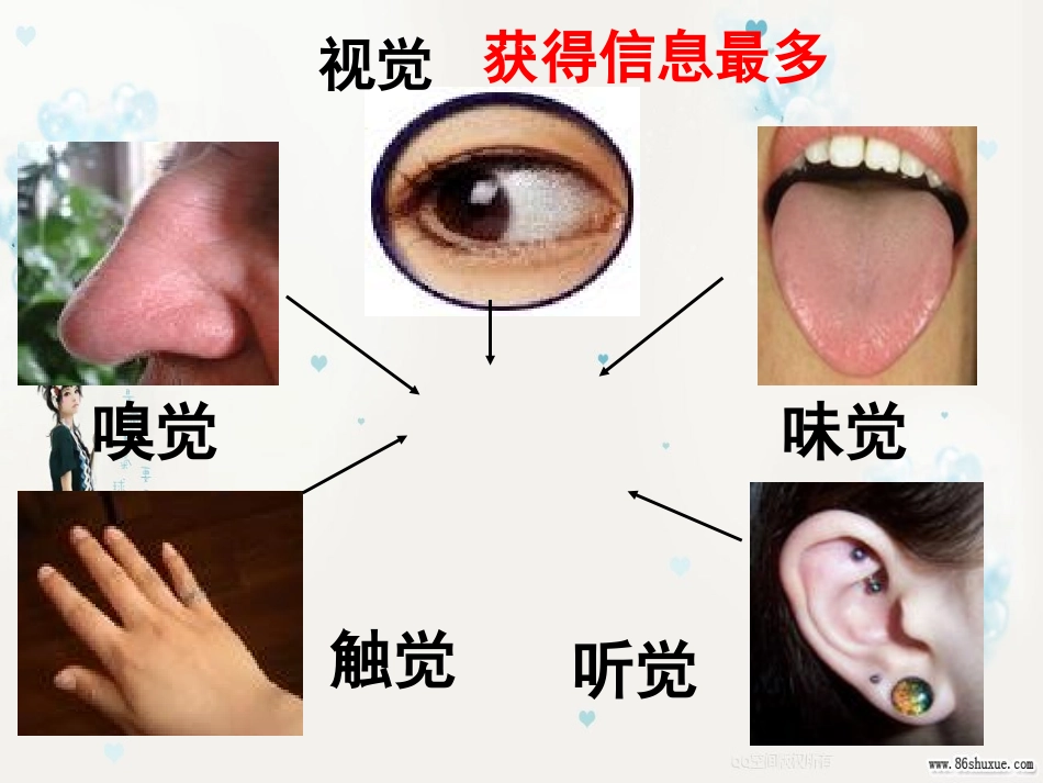 第一节_人体对外界环境的感知_第2页