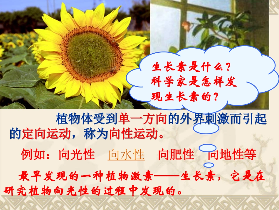 第一章第一节 生长素的发现及其作用_第1页