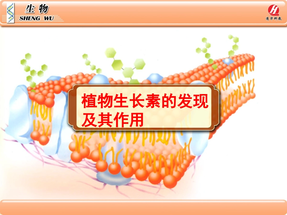 第一章第一节 生长素的发现及其作用_第2页