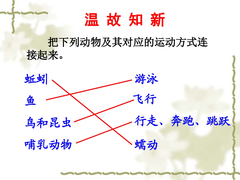 第一节  动物的运动_第1页