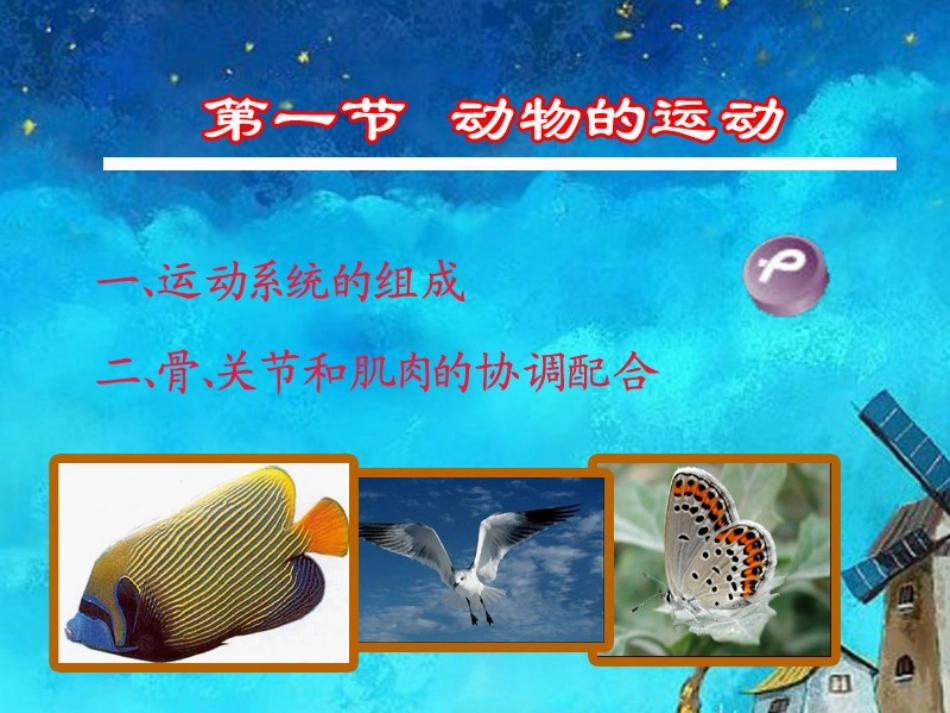 第一节  动物的运动_第3页