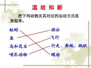 第一节  动物的运动