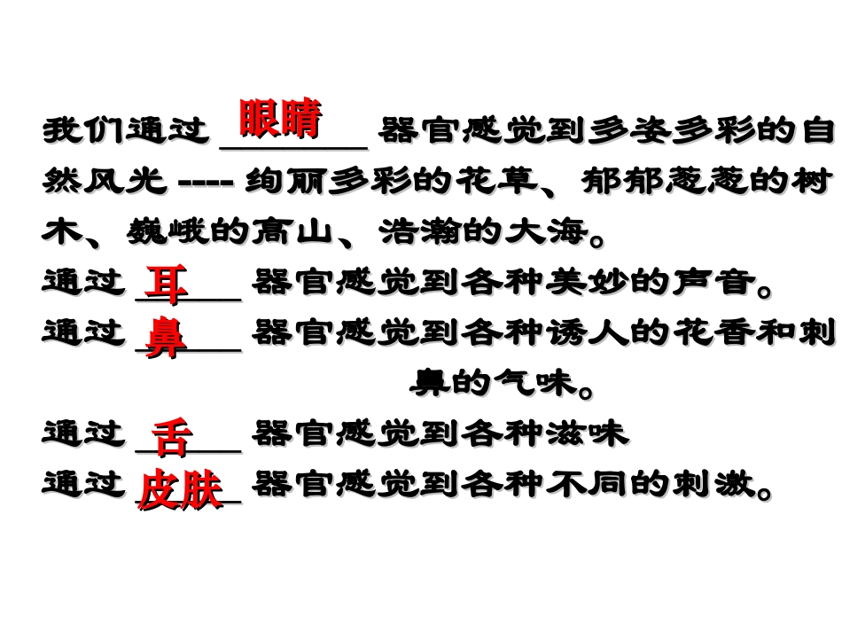 第一节 感觉世界(第一课时)_第3页