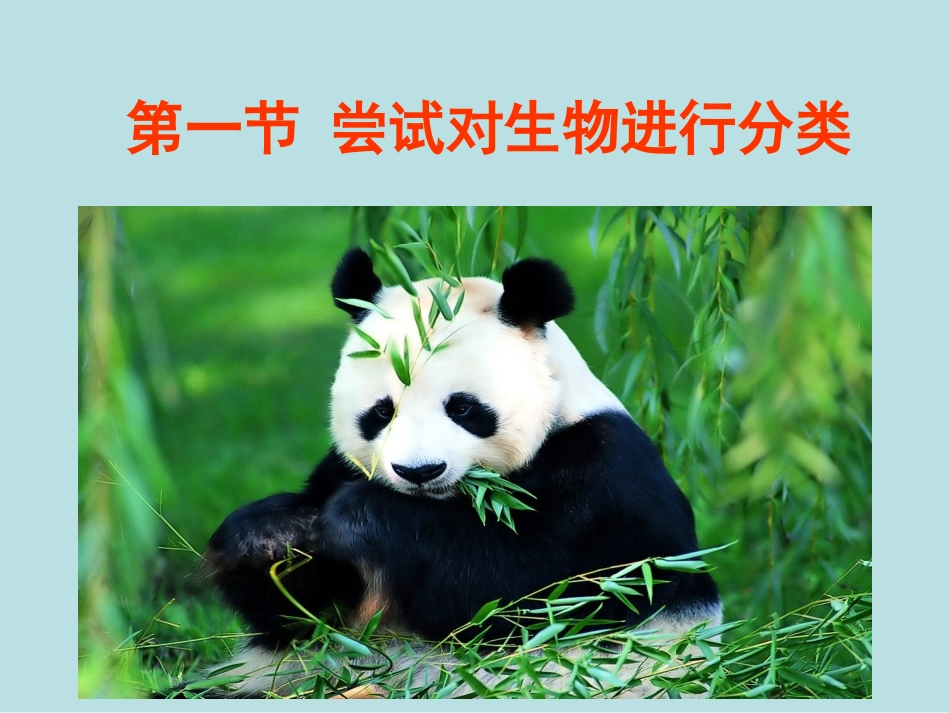第一节  尝试对生物进行分类_第1页