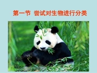第一节  尝试对生物进行分类