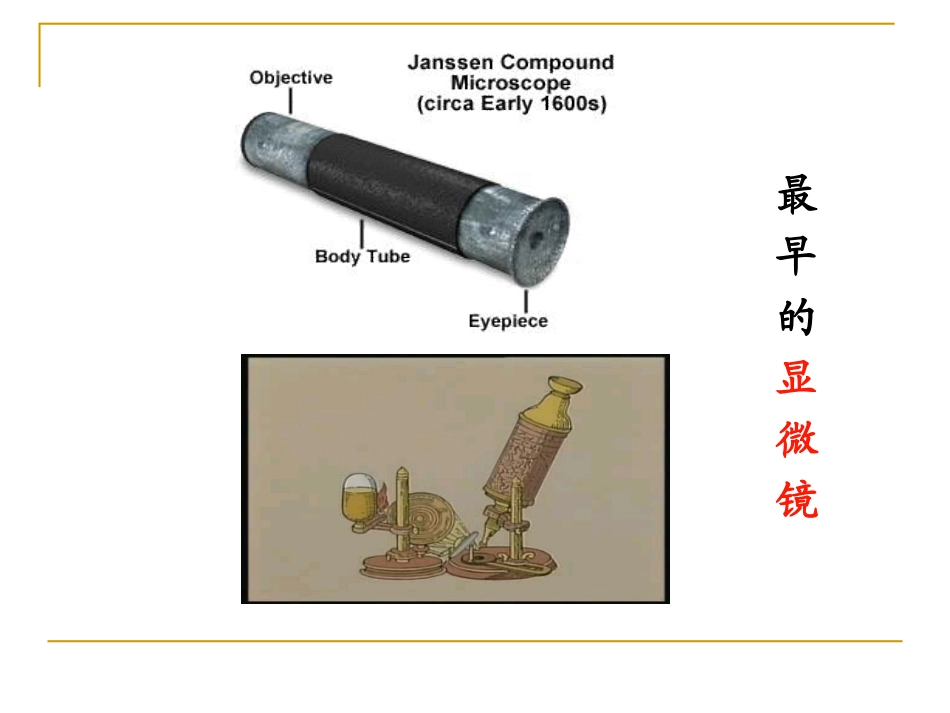 第一章_人类探索细胞的历史(第一课时)_第2页
