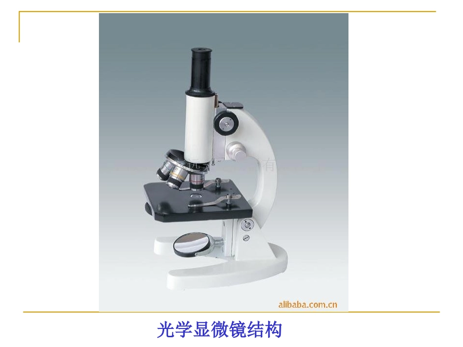 第一章_人类探索细胞的历史(第一课时)_第3页