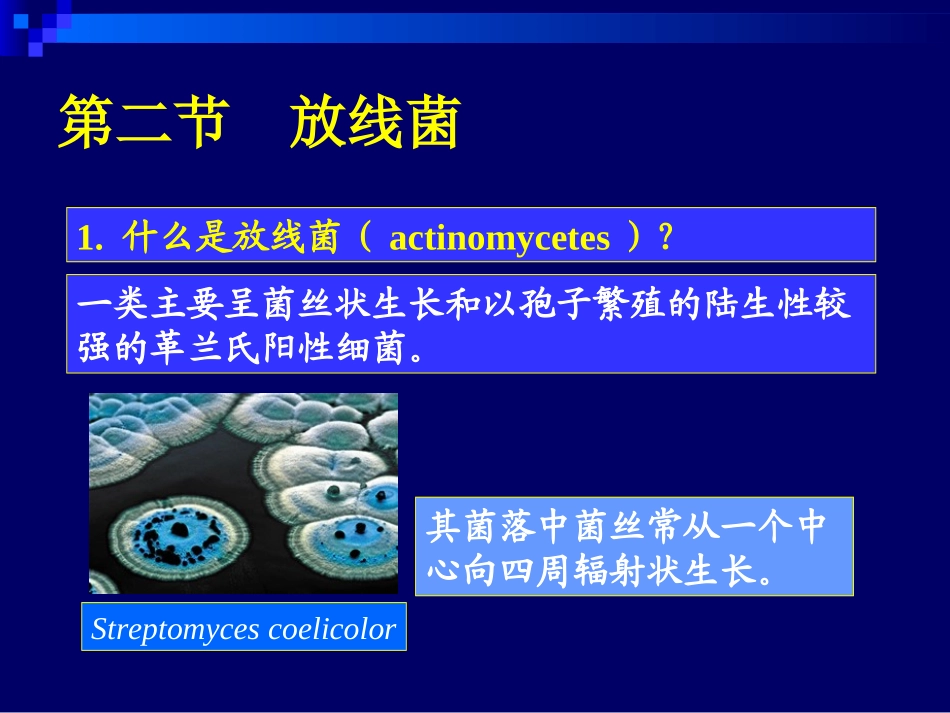 第一章+原核微生物03_第2页