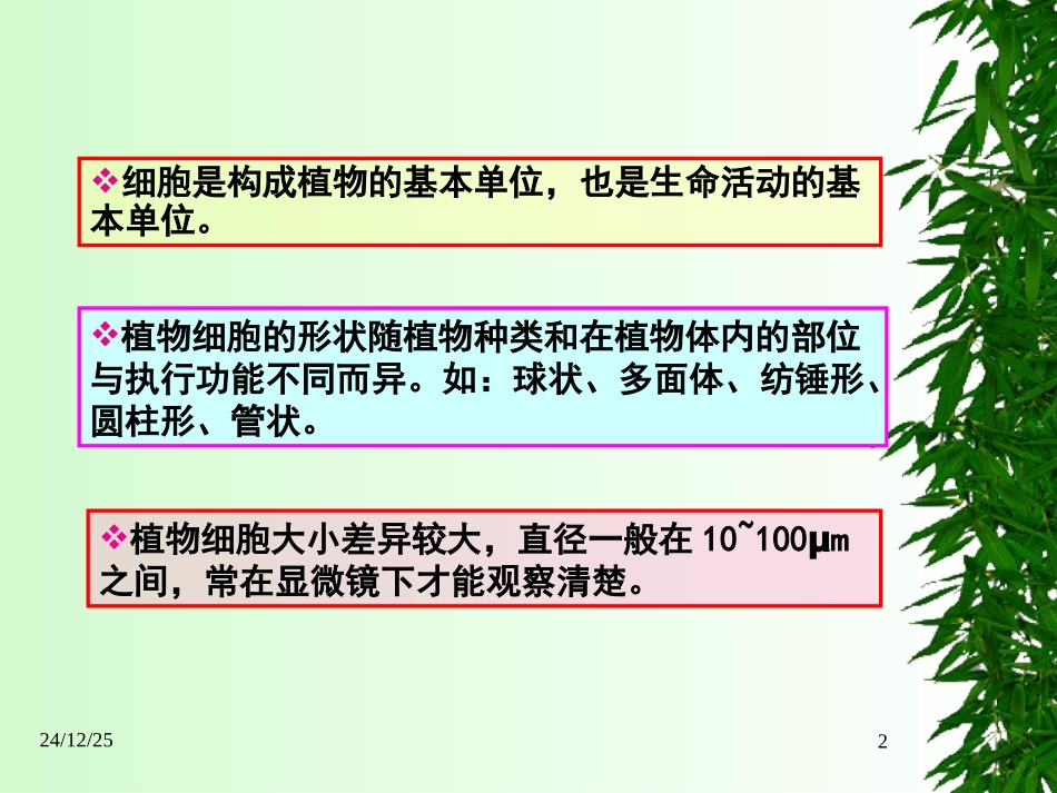 第一章 植物的细胞_第2页