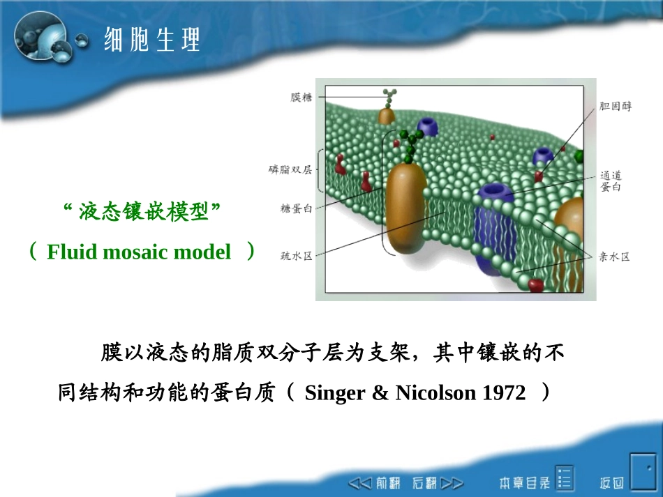 第一章  细胞生理(Cell Physiology)_第3页