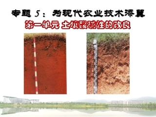 第一单元 土壤酸碱性的改良 选修IB