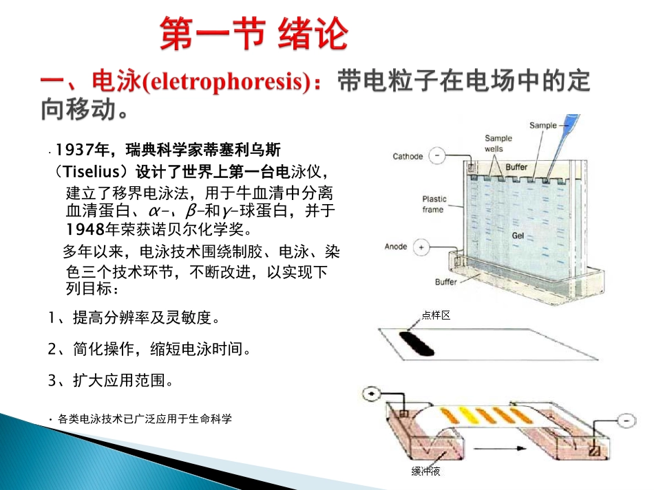 第6章- 高效毛细管电泳_第2页