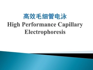 第6章- 高效毛细管电泳