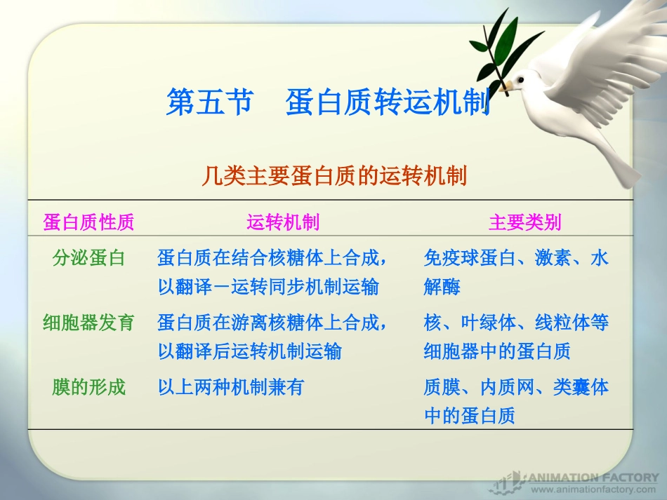 第4章 蛋白质的翻译-转运降解_第1页