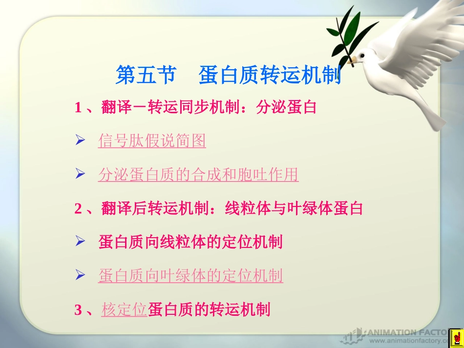 第4章 蛋白质的翻译-转运降解_第2页
