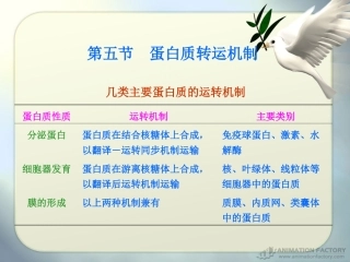 第4章 蛋白质的翻译-转运降解