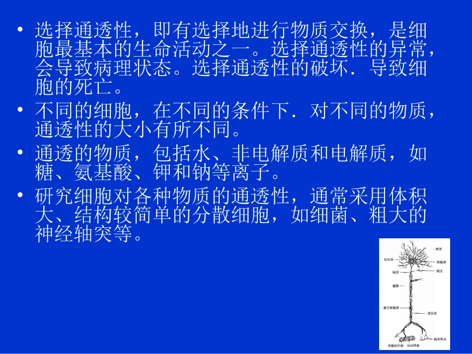 第4章 细胞与细胞膜-2-2011-03-29_第3页