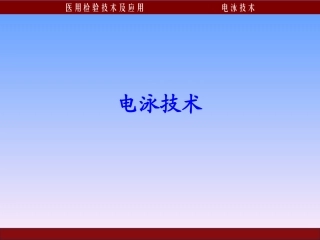 第4章 电泳技术