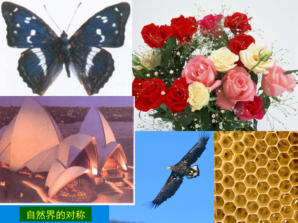 第4章 分子对称性_第2页