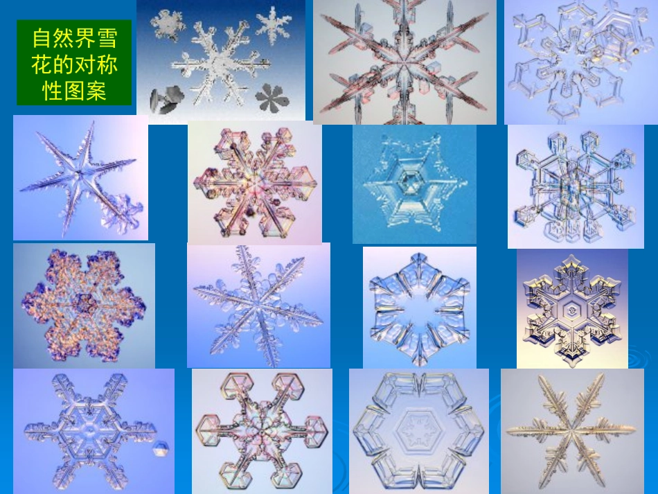 第4章 分子对称性_第3页