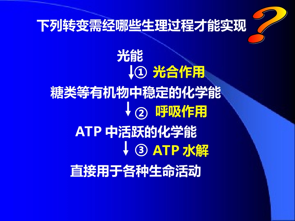 第3节  细胞呼吸作用_第2页