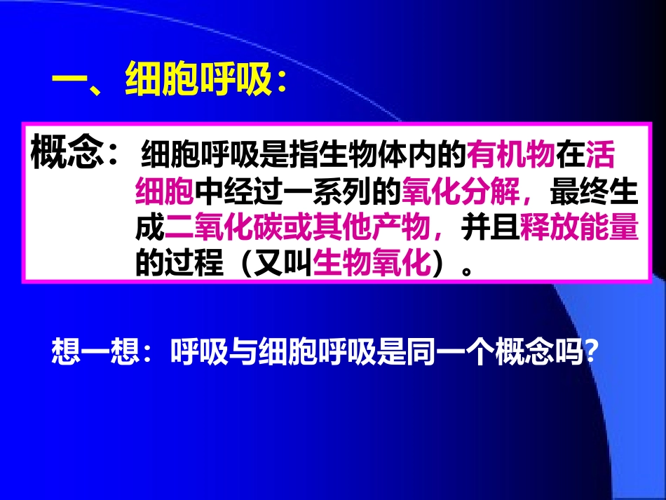 第3节  细胞呼吸作用_第3页