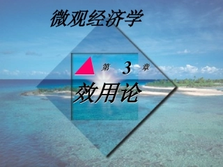 第3章 效用论