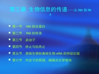 第3章 RNA的转录-启动子