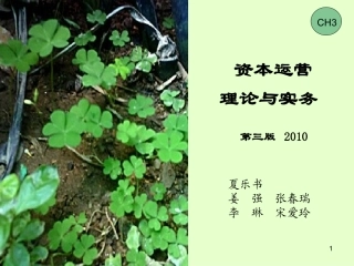 第3章  资本筹措